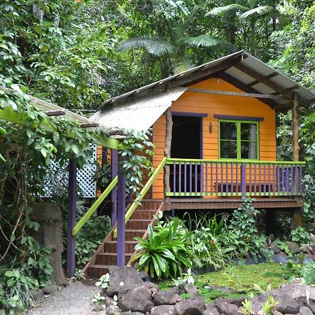 Rainforest Hideaway Cape Tribulation Exterior photo