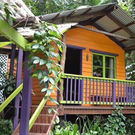 Rainforest Hideaway Cape Tribulation Exterior photo