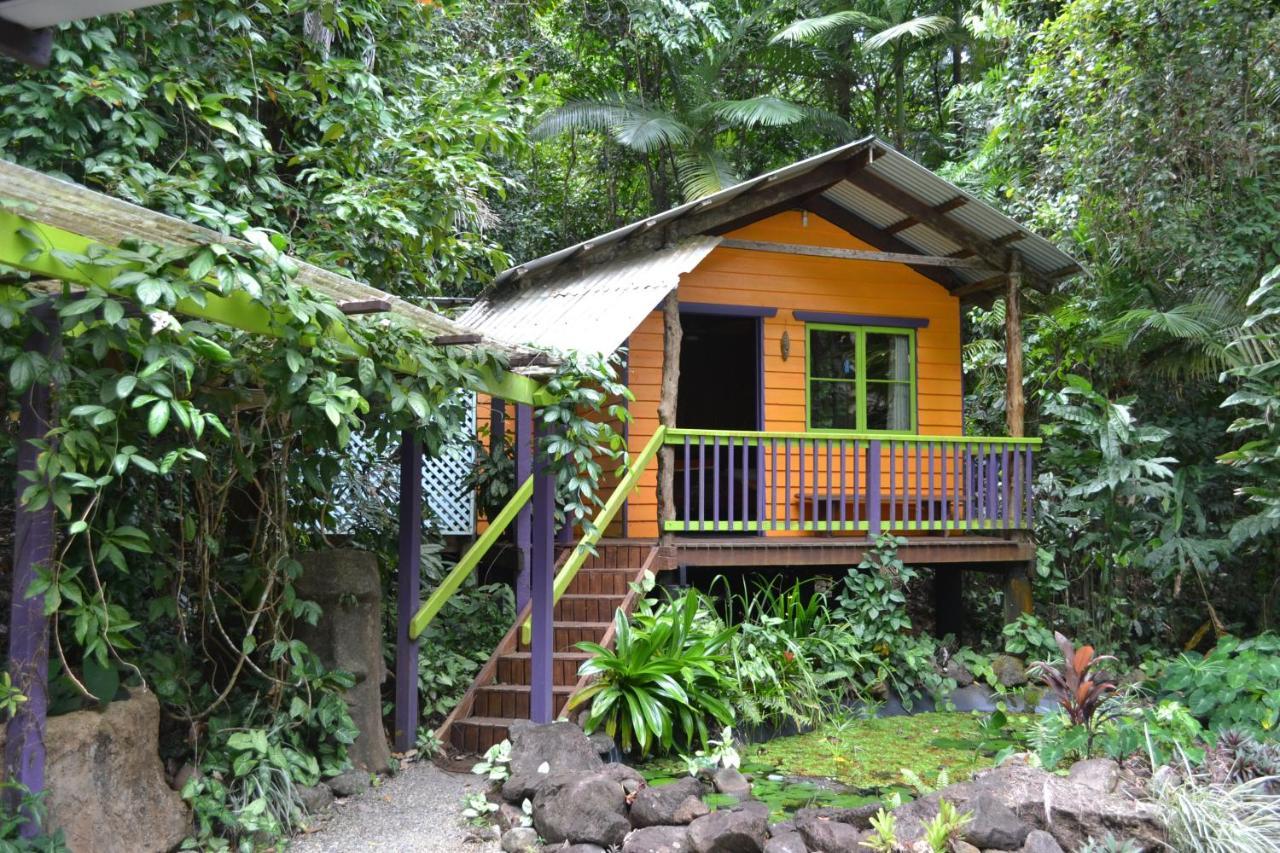 Rainforest Hideaway Cape Tribulation Exterior photo
