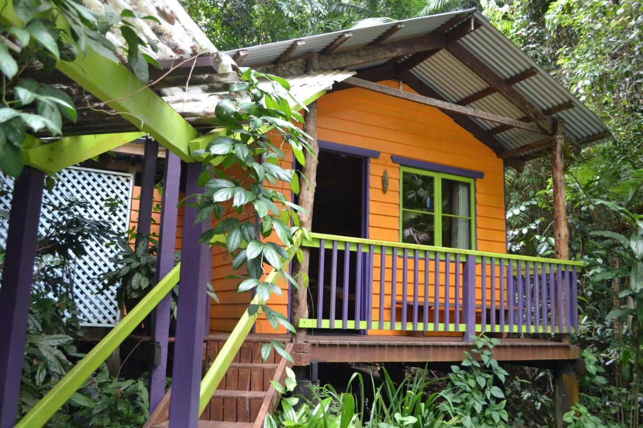Rainforest Hideaway Cape Tribulation Exterior photo