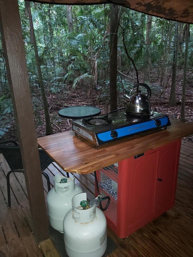 Rainforest Hideaway Cape Tribulation Exterior photo