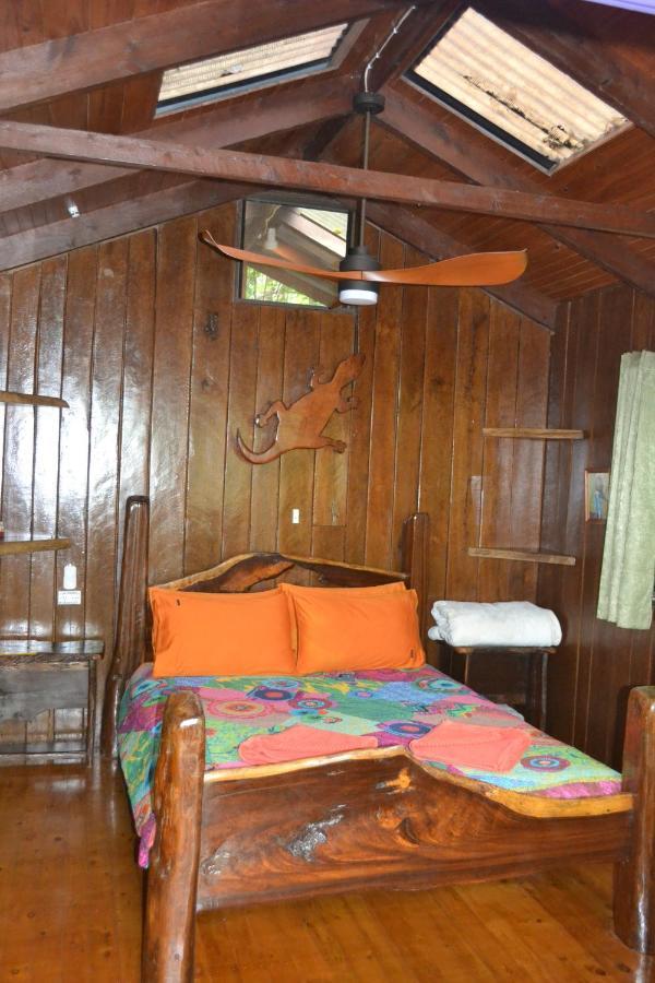 Rainforest Hideaway Cape Tribulation Exterior photo
