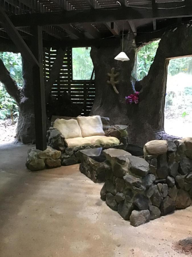 Rainforest Hideaway Cape Tribulation Exterior photo