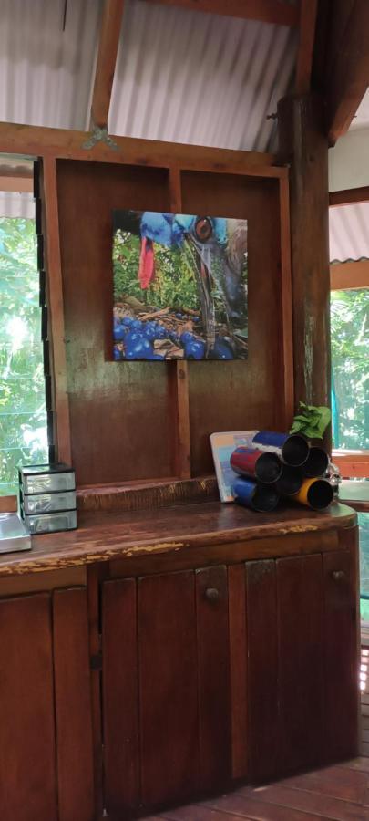 Rainforest Hideaway Cape Tribulation Exterior photo
