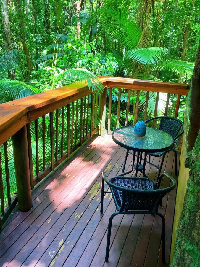 Rainforest Hideaway Cape Tribulation Exterior photo