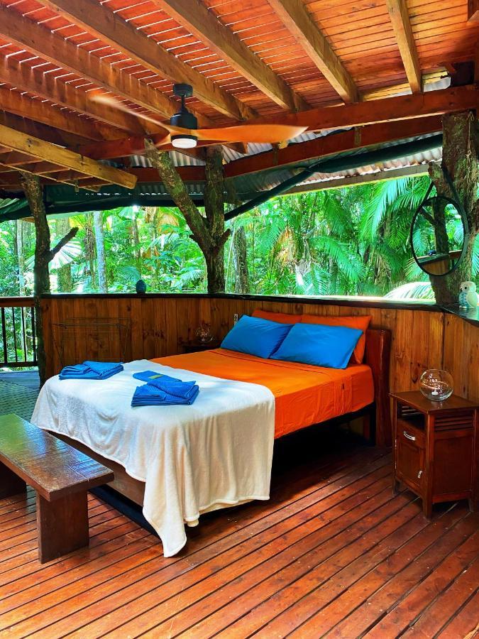 Rainforest Hideaway Cape Tribulation Exterior photo
