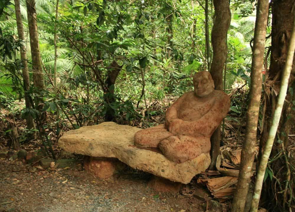 Rainforest Hideaway Cape Tribulation Exterior photo