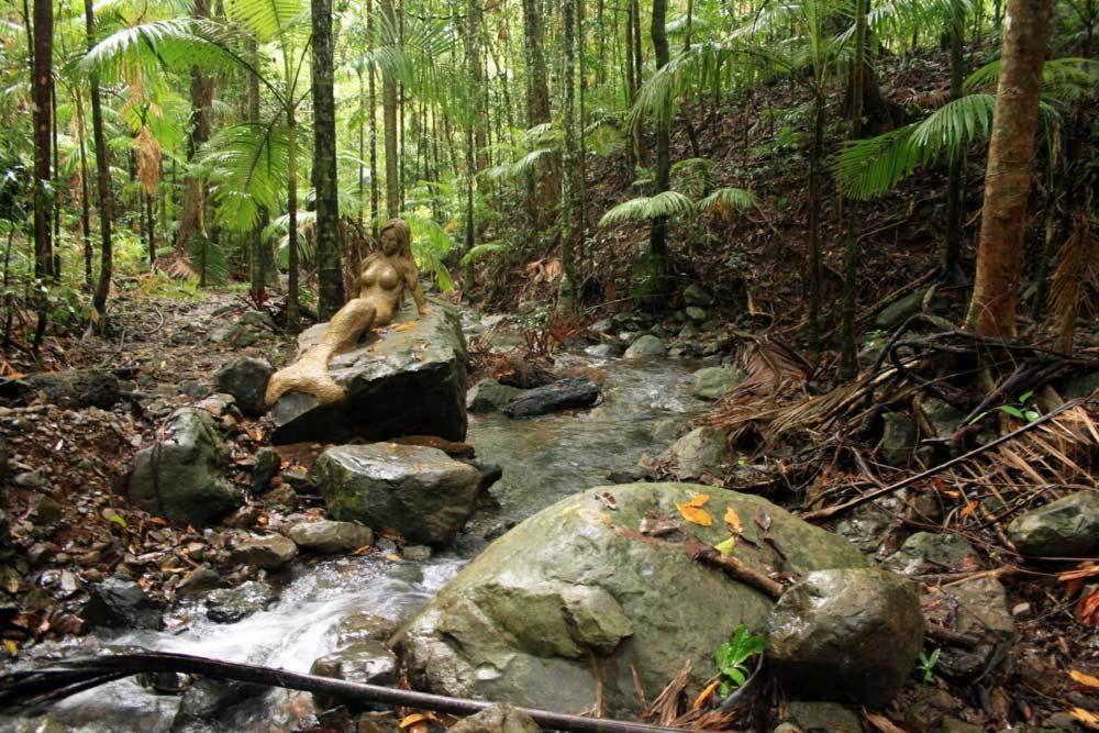 Rainforest Hideaway Cape Tribulation Exterior photo