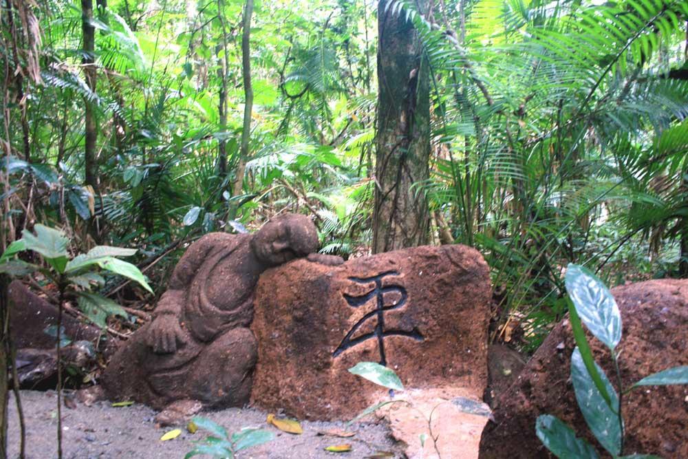 Rainforest Hideaway Cape Tribulation Exterior photo