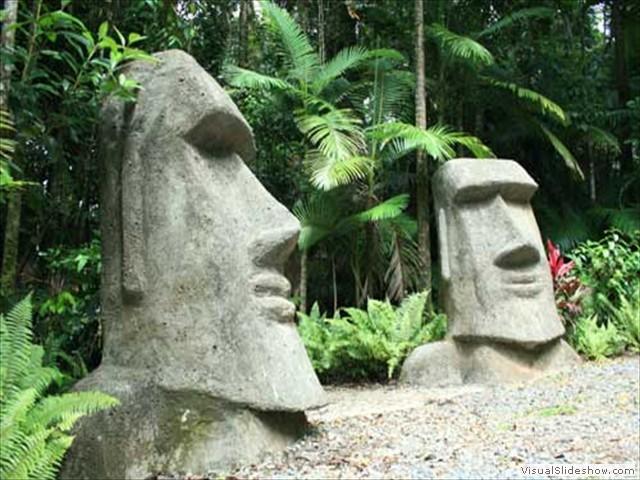 Rainforest Hideaway Cape Tribulation Exterior photo
