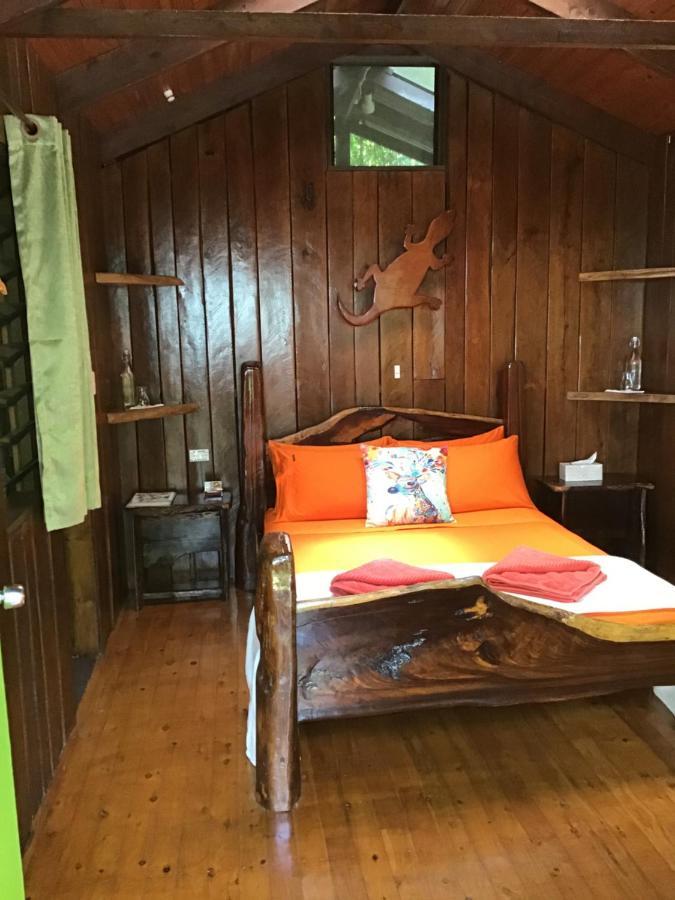 Rainforest Hideaway Cape Tribulation Exterior photo